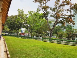 Blk 538 Ang Mo Kio Avenue 5 (Ang Mo Kio), HDB 4 Rooms #169542612